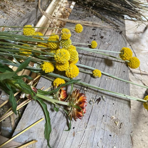 Ferme de l'Héritier
