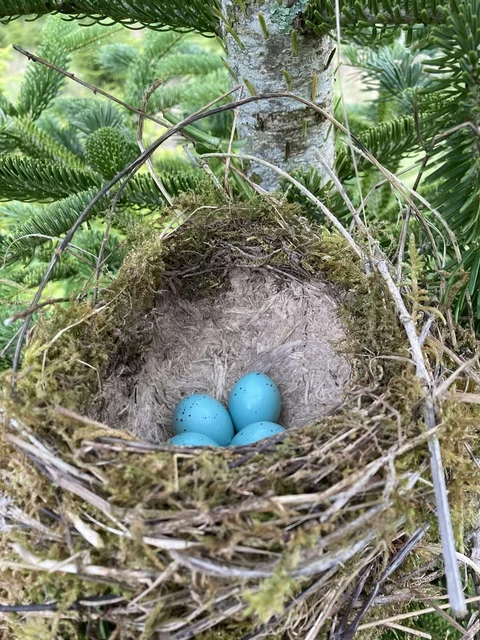 LES VERGERS DE SAUVAGNAS