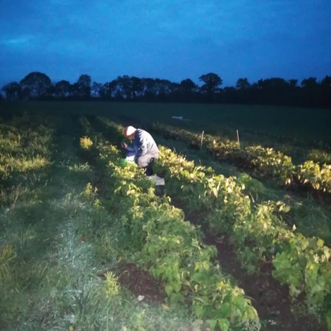 La ferme du bon'heur