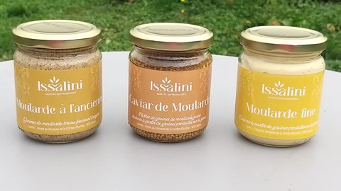 Le domaine de la Combe d'Auribal - Lucie DURAND