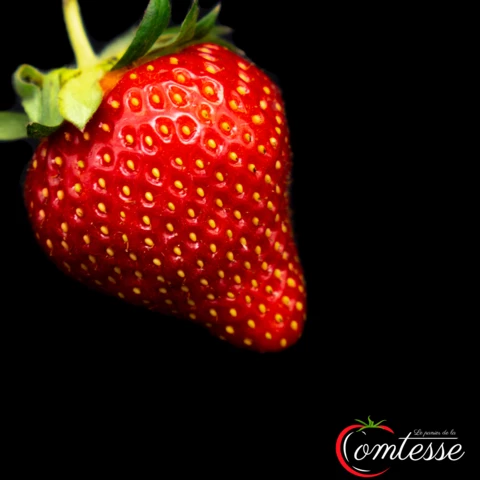 EARL LA COMTESSE