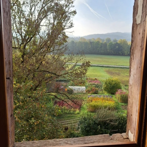Les Fleurs de Saint-Sernin