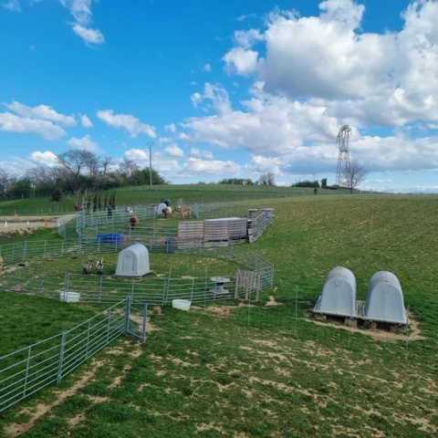 Le Marché des Gônes