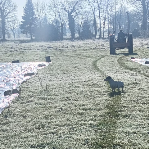 GAEC les petits bregeons