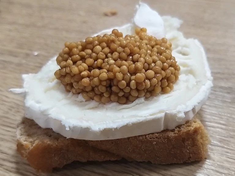 Le caviar de moutarde - Le domaine de la Combe d'Auribal - Lucie DURAND