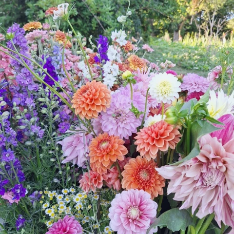 Les Fleurs de Saint-Sernin