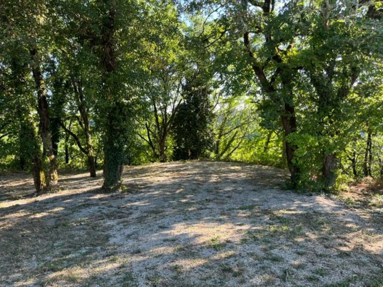 Emplacements ombragés - Domaine du Souleillan