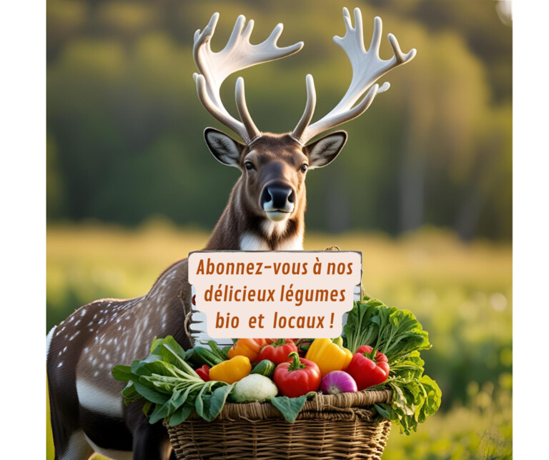 Abonnement Paniers de Légumes