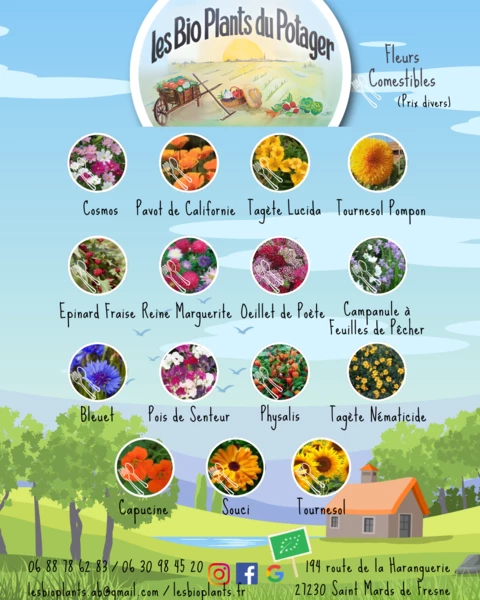 Les Bio Plants du Potager