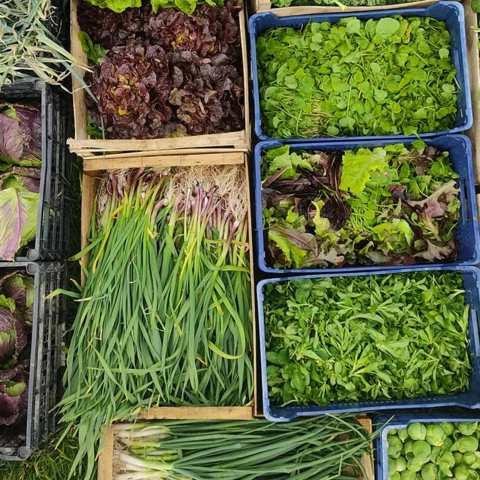 Ferme des Annélides