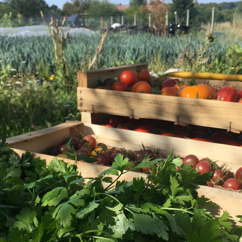 La Ferme Maraîchette