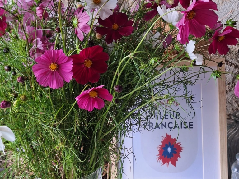 Pratiques culturales - Les Fleurs de Saint-Sernin