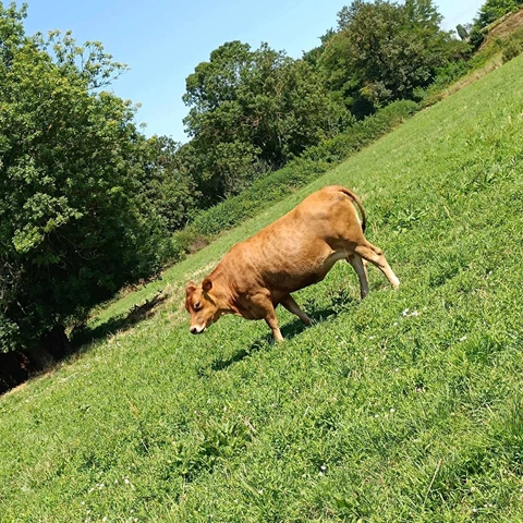 La Ferme des Muses