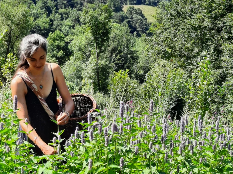 Cultivées et cueillies avec joie - Herbes et Butineries