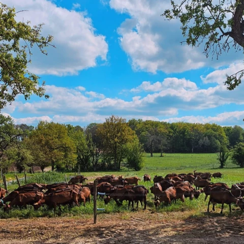 FERME DE LA BROSSE