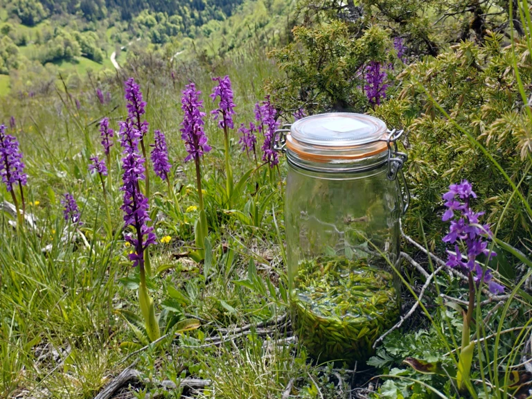 Prenez soin de votre bien-être - Herbes et Butineries