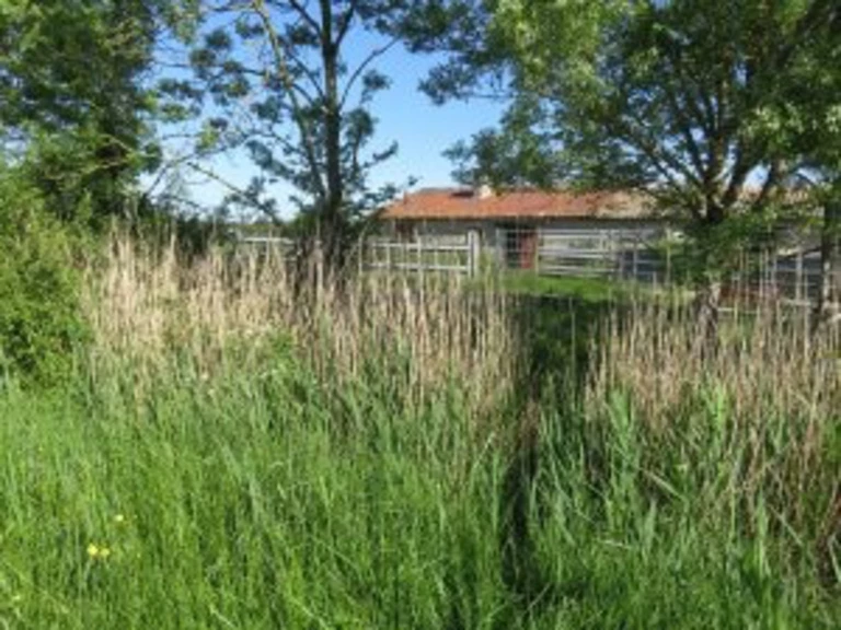 Les haies regardent nos prairies - Elevage Monchany