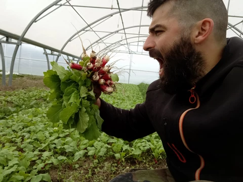 Cette botte de radis a fini où vous savez ! - Au Jardin du Bonheur