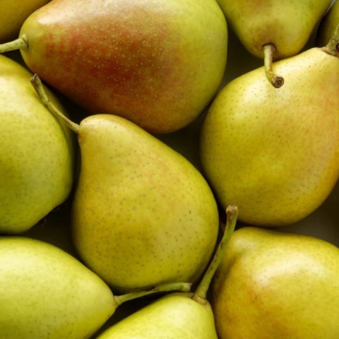 des fruits - Au Local de Genas