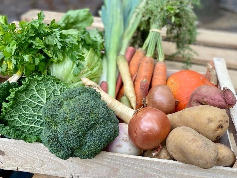 Livraison de légumes au fournil le lundi 17-19h - Le fournil du Brulit