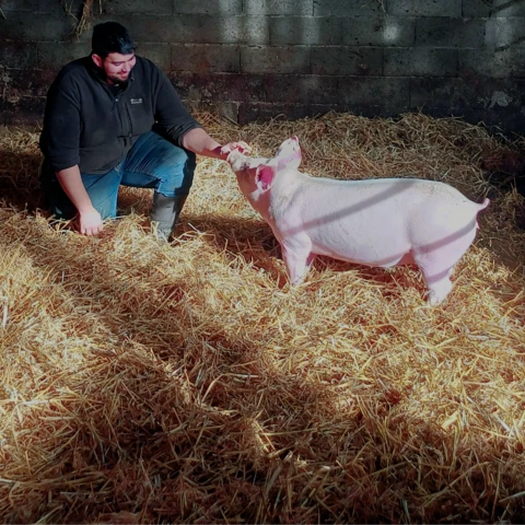 La Ferme D'Enez Rouz