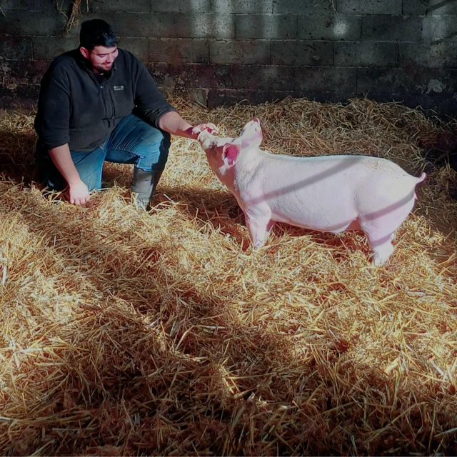 Galerie - La Ferme D'Enez Rouz