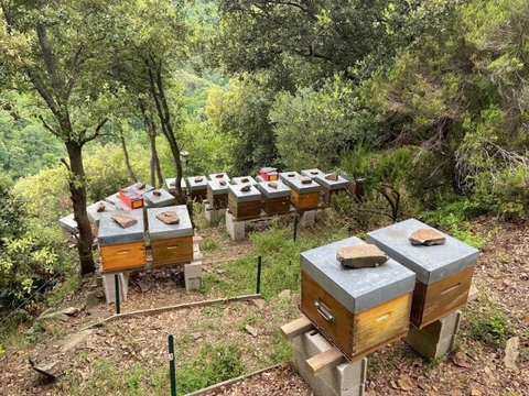 SAVEURS DE NOS VALLÉES