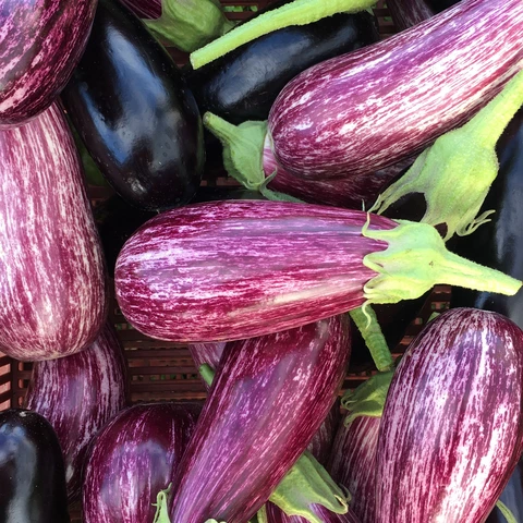 La Ferme Maraîchette