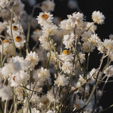 Ferme de l'Héritier