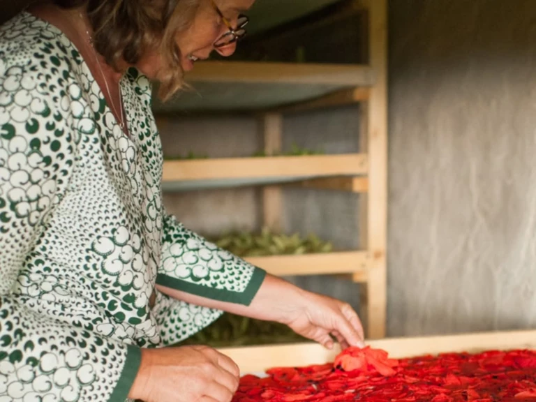 Gwenaëlle Le dez - Présidente et co-fondatrice de l'association de La Place aux Herbes - La Place aux Herbes