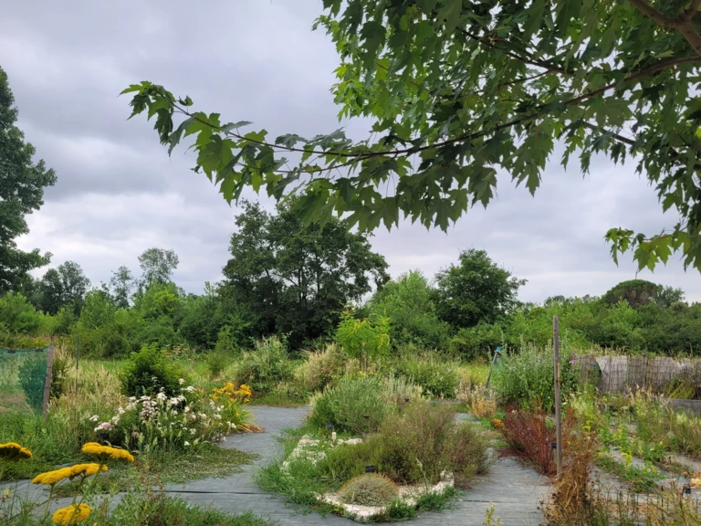 Le Jardin