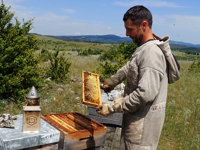 Apiculture : - L'Aïssou