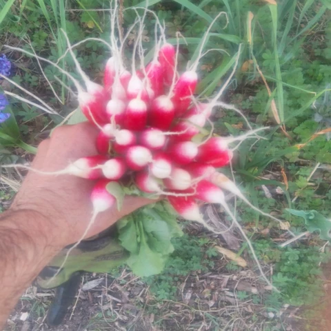 Au Jardin du Bonheur