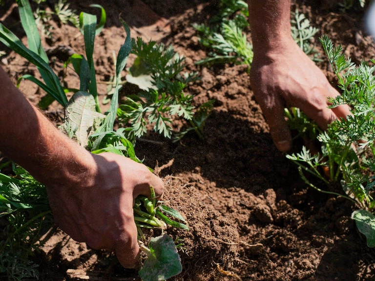 Le Clos de l’Escaillerie, une histoire de terre et de passion - Le Clos de l'Escaillerie