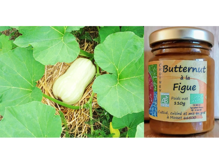 Des légumes frais, des fruits secs et des épices - Délices des Cimes