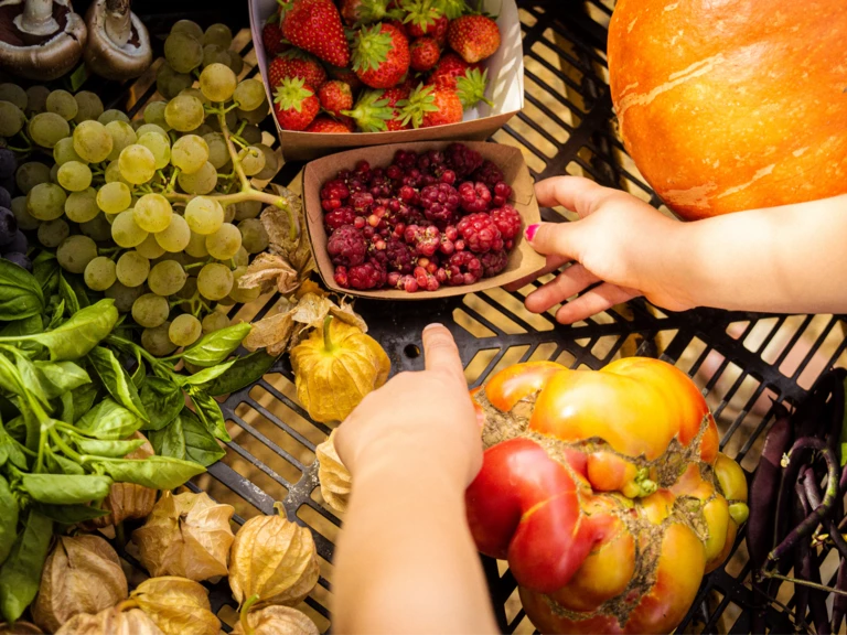 Les légumes au fil des saisons - LA CLAIRIERE PAYSANNE