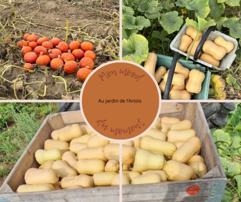 Au jardin de l'Artois