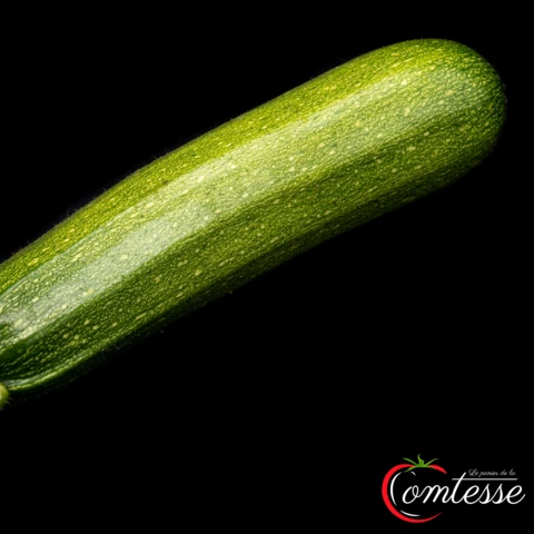 EARL LA COMTESSE