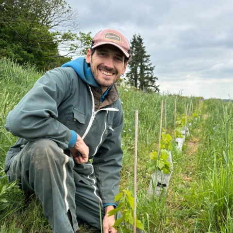 Baies sauvages et cie