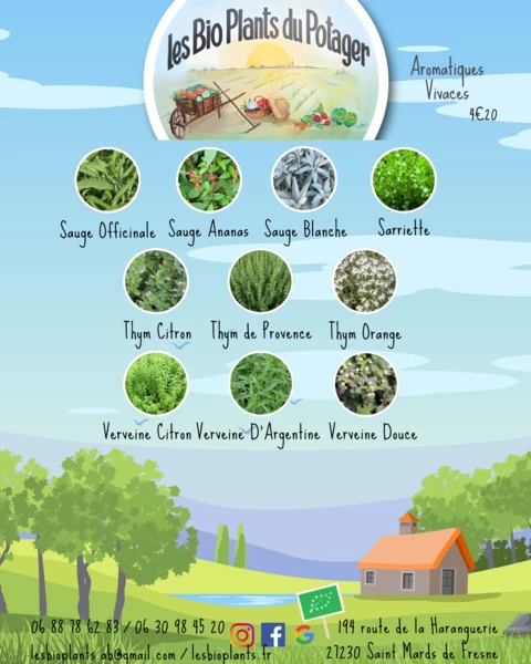 Les Bio Plants du Potager