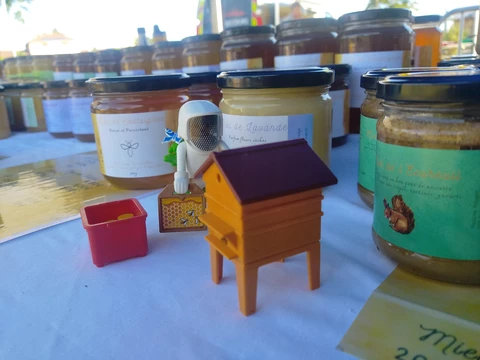 Pauline Pollen - Apicultrice