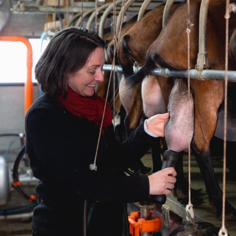 FERME DE LA BROSSE