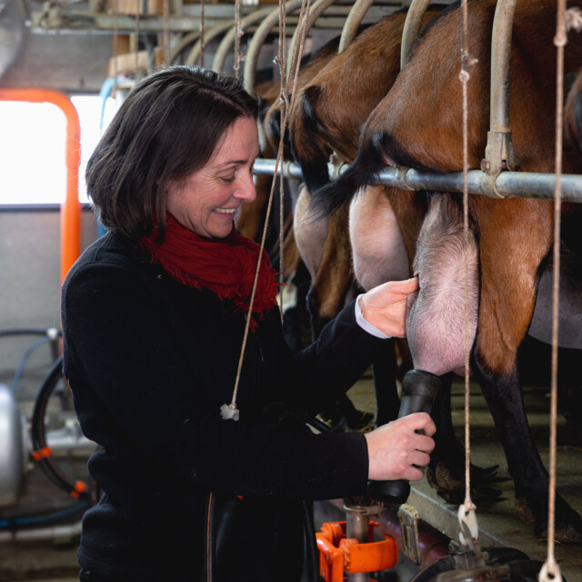 Galerie - FERME DE LA BROSSE