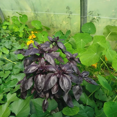 Ferme des Annélides