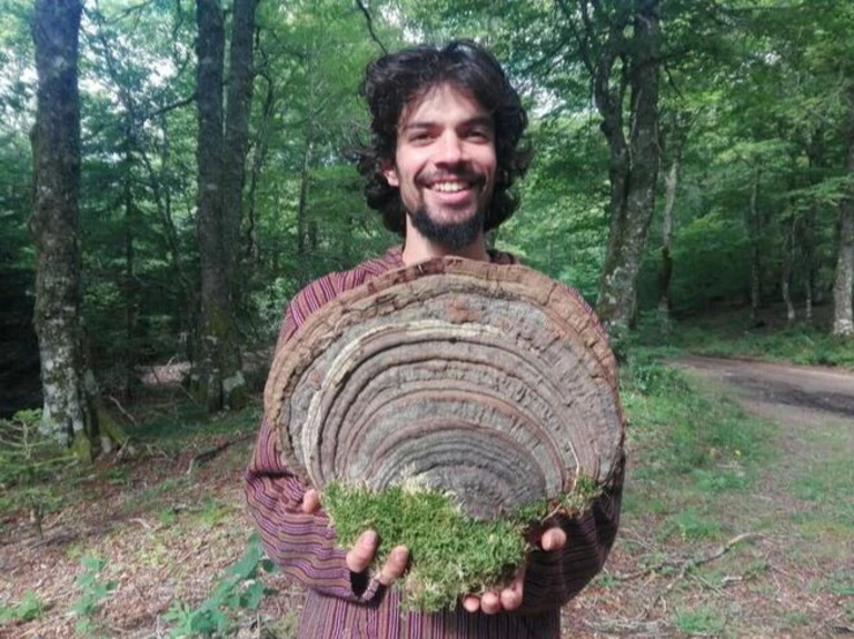 Nos champignons - La Grotte aux Champignons