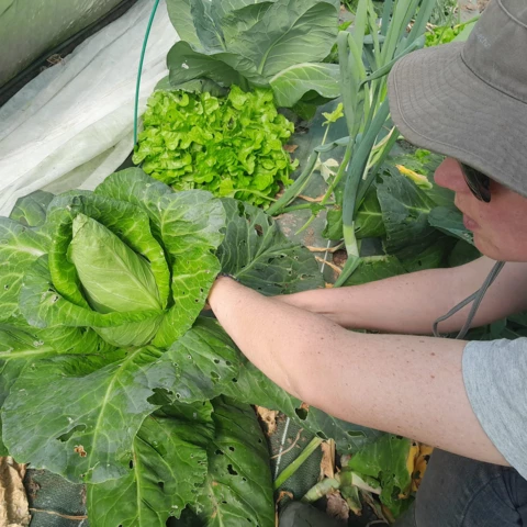 Ferme des Annélides