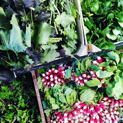 La Ferme des Tilleuls