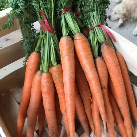Des légumes - Au Local de Genas