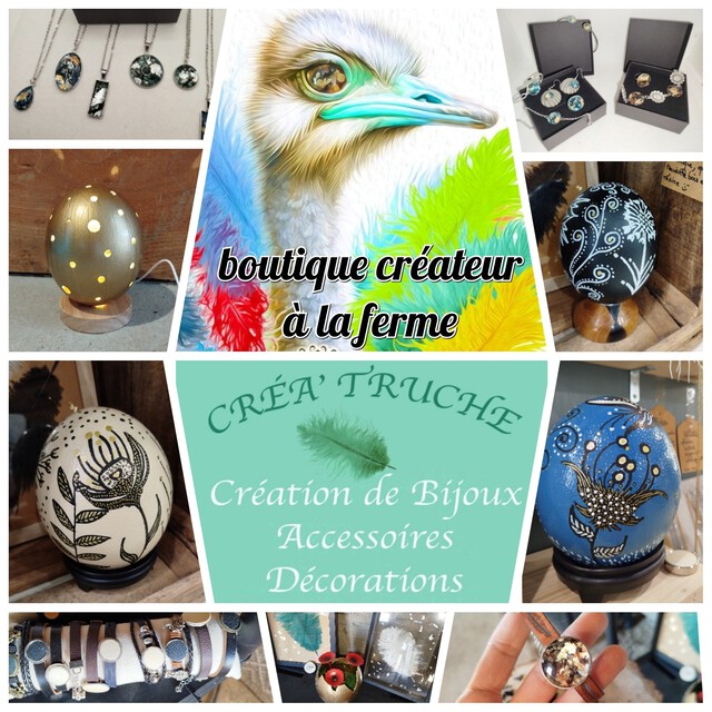 Galerie - LA BALADE DES AUTRUCHES