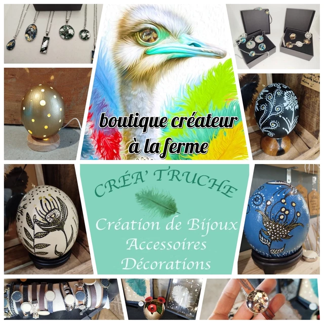 Galerie - LA BALADE DES AUTRUCHES
